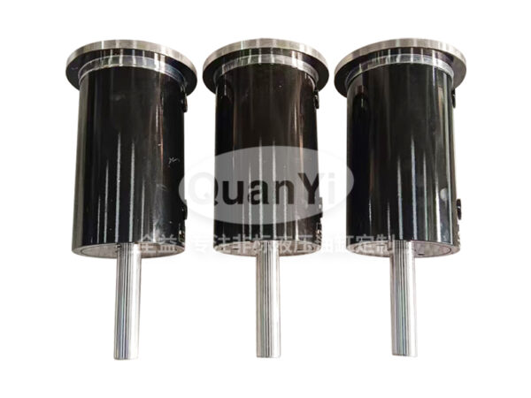 Rubber Machinery Sizing Cylinder 110/50/30-100 110/50/30-100 – Hengshui Machinery