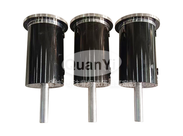 Rubber Machinery Sizing Cylinder 110/50/30-100 110/50/30-100 – Hydraulic Cylinder
