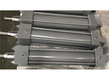 Pharmaceutical Equipment Hydraulic Cylinder – Hengshui Machinery